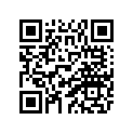 8BE-77164-40-00 Ornament 2