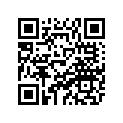 8BF-77163-40-00 Ornament 1