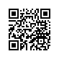 8BF-77164-40-00 ORNAMENT 2