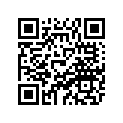 8BG-77163-40-00 ORNAMENT 1
