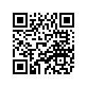 8BK-77163-20-00 Ornament 1