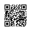 8BK-77164-00-00 Ornament 2