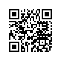 8BK-77164-20-00 Ornament 2