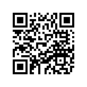 8CA-77163-00-00 ORNAMENT 1