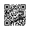 8CM-77163-10-00 Ornament 1