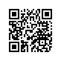 8CM-77164-10-00 Ornament 2