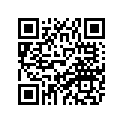 8CM-77169-10-00 Ornament 3