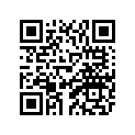 8CP-77164-00-00 Ornament 2  Ur Mm700