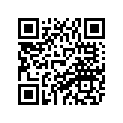 8CS-77163-10-00 Ornament 1