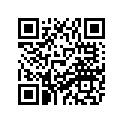 8CX-77163-10-00 Ornament 1  Ur For Yb