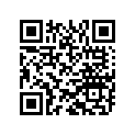 8D0007989 Washer 28x20x0.7