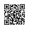 8DF-77163-00-00 ORNAMENT 1
