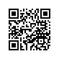 8DX-77163-00-00 Ornament 1