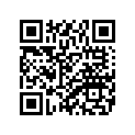 8MY-K711W-20-00 GRAPHIC 11