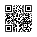 8R6-77113-00-00 ORNAMENT 4