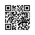8T7-77113-00-00 ORNAMENT 4