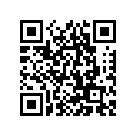 8V0-22471-00-00 Цилиндр Амотризатора