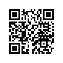 8V0-77163-00-00 Ornament 1