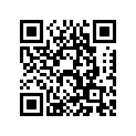8X0-77163-00-00 Ornament 1