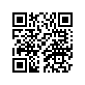 8X0-77164-00-00 Ornament 2