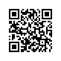 90106000001 PLUG DRAINAGE