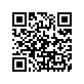 90110-06X11-00 