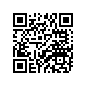 90110-07004-00 