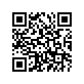 901110617500 BOLT,HEX. SOCKET BUTTON