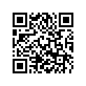 90111067100 BLANK KEY 125/200 DUKE