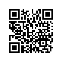 90112-MEW-920 BOLT, FLG (10X265)