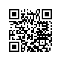 90114060002 SPECIAL WASHER