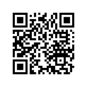90142-205-000 Screw, stay set