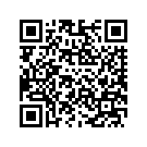 90200717DEA SUPPORT SADDLEBAG, RIGHT, W/ 11100068 (T