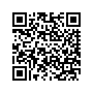 90200717DUD SUPPORT SADDLEBAG, RIGHT, W/ 11100068 (D