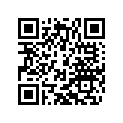 90212541000 MIRROR R/S
