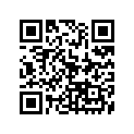 90215-30217-00 Шайба