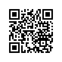 90231-292-000 Nut,lock 16m/m