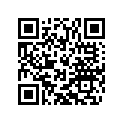 90240023005 WASHER