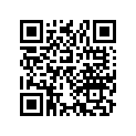 90281-273-000 Nut, special 24