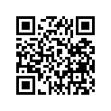 903-38060-81-00 Plug