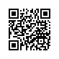 903-80121-39-00 Bush, Solid