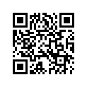 9030786 SBAGBOTTOM,RH,SILBLU