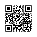 90381-20036-00 