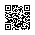 90471-KW1-900 Key (25x14)