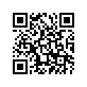 90504-29032-00 Пружина компрессора