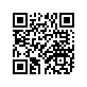 90506-14080-00 Пружина натяжения