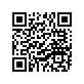 90506-17238-00 Пружина натяжения