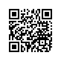 90506-26255-00 Пружина натяжения