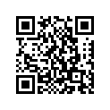 90506-29080-00 Пружина натяжения