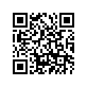 90506-29491-00 Пружина
